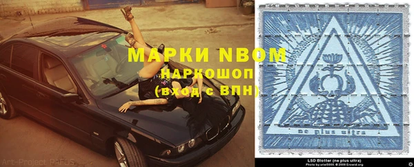 спайс Покачи